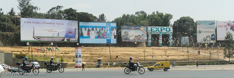 20120327_135601 Nikon D3S 2x3.jpg - Billboards along one of the Plazas